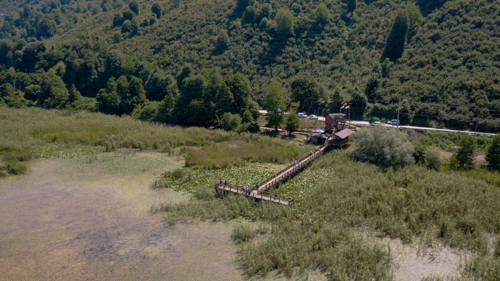 Efteni Gölü