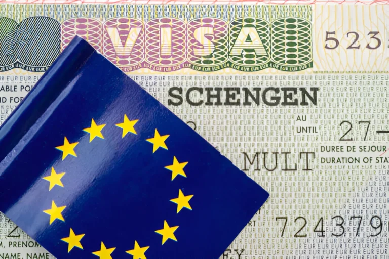 Vize İtirazı Dilekçesi: Schengen Başvurusu