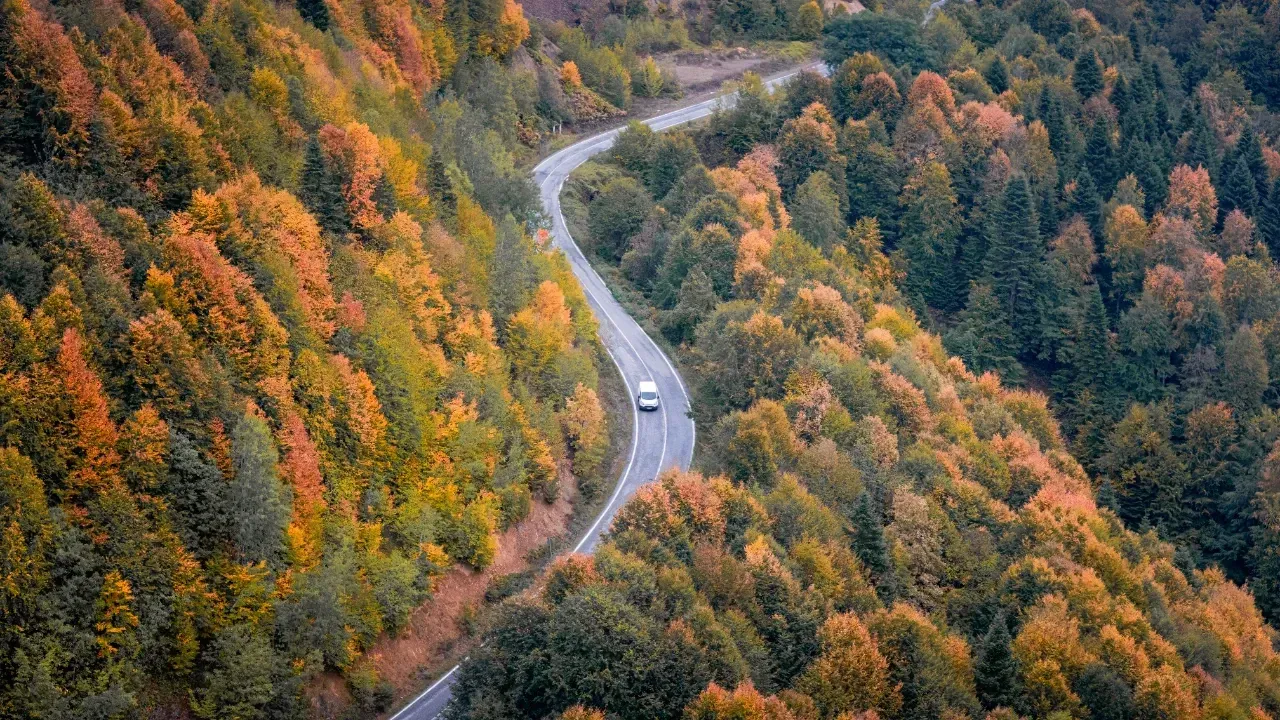 Çam Dağı